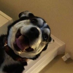 Meet your Posher, Lydia